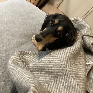 Meet your Posher, Haruko